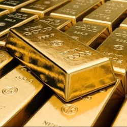 Physical Gold logo