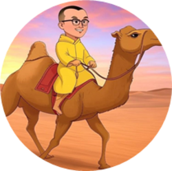 CAMEL logo