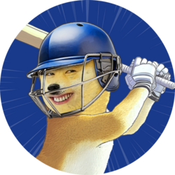 Indian Premier League Fan Token logo