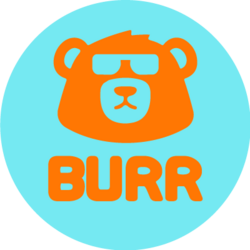 Burr Governance Token logo