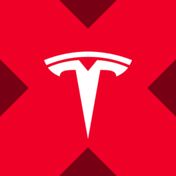 Wrapped Tesla xStock logo