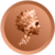 dvo