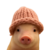 pigwif