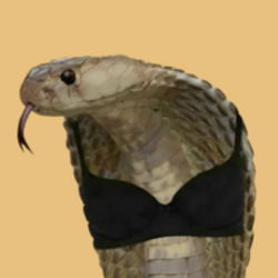 Co Bra