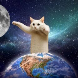 Longcat logo