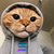 hood
