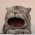 maow