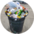 trash