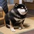 totakeke