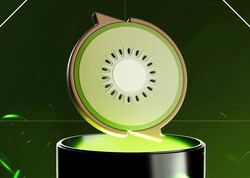 Kiwi logo