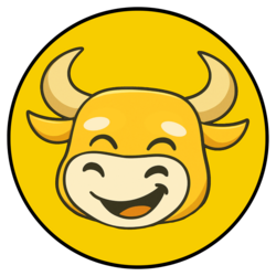 Bull Market Coin logo