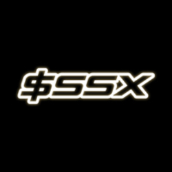 Solana Stock Index logo