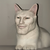 gcat