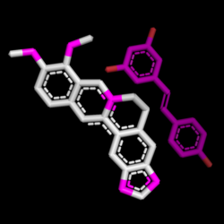 Resveratrol & Berberine logo