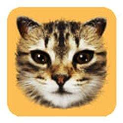 #cat logo