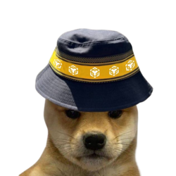 BNB DOGE logo
