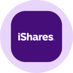 iShares Russell 2000 ETF (Ondo Tokenized ETF) logo