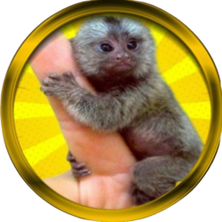 Finger Monkey logo