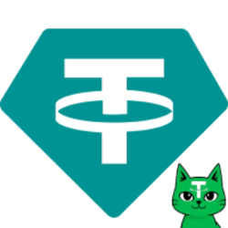TetheCat Bridged USDT logo