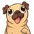 pug