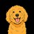 samson