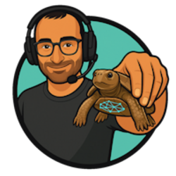 Bitcoin the Turtle logo