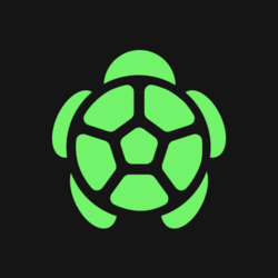 Turtle logo