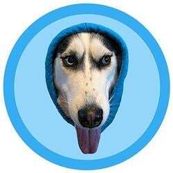 doginhood logo