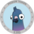 piq