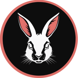 CashBunny logo