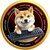 gout coin
