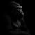 ape