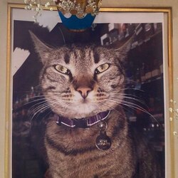 Remember KitKat logo