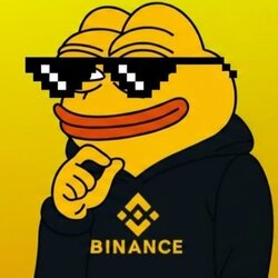 BNB PEPE logo