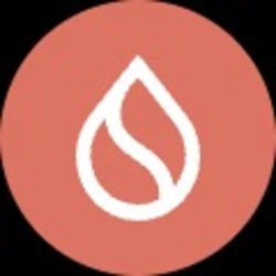 Ember SUI logo