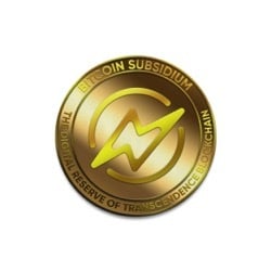 Bitcoin Subsidium logo