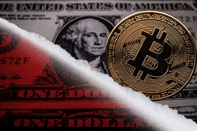 美元走貶、比特幣卻「漲不動」，背後原因為何？