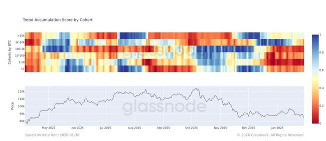 Trader ritel sedang bergegas keluar di tengah penjualan bitcoin, sementara 'mega-whales' secara diam-diam membeli saat penurunan