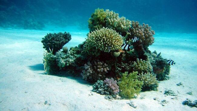 Les détenteurs d’ETF Bitcoin, assis sur des pertes latentes, pourraient jeter l’éponge