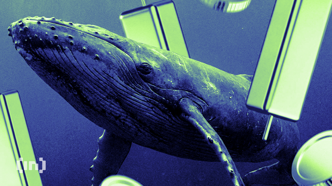 White Whale Solana: Rug Pull, Perangkap, atau Meme Coin Sempurna?