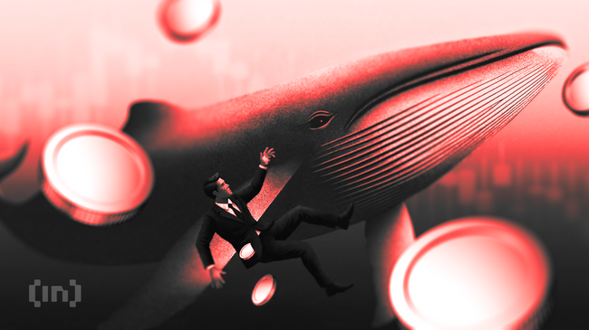 Çoğu Kripto Para Varlık Hazinesi Piyasa Çöküşü Sonrası Artan İflas Riskiyle Karşı Karşıya