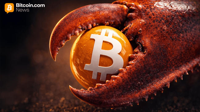 Автономные ИИ-агенты используют криптовалюту в большом масштабе — и по пути ломают вещи