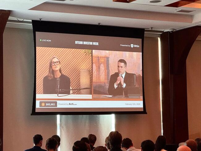 Ark Invest’in Cathie Wood, yapay zeka ve yeniliklerin yarattığı ‘deflasyonist kargaşa’ ortamında bitcoin’in başarılı olacağını belirtti