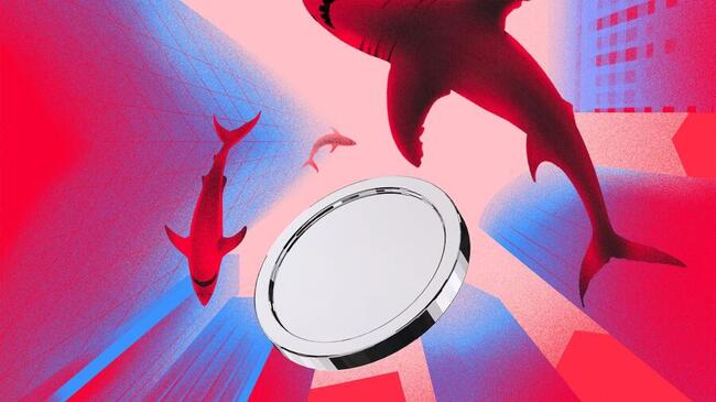 Altcoin-Markt: Schon 13 Monate Netto-Verkäufe – Ist jetzt der Tiefpunkt erreicht?