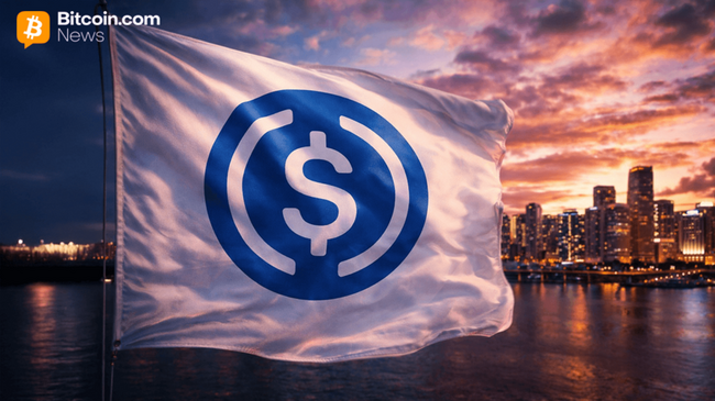 Отчет показывает, что рост переводов USDC на базе обусловлен ребалансировкой LP