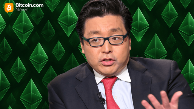 Компания Bitmine, занимающаяся хранением цифровых активов, добавляет 51 162 ETH на фоне спада рынка