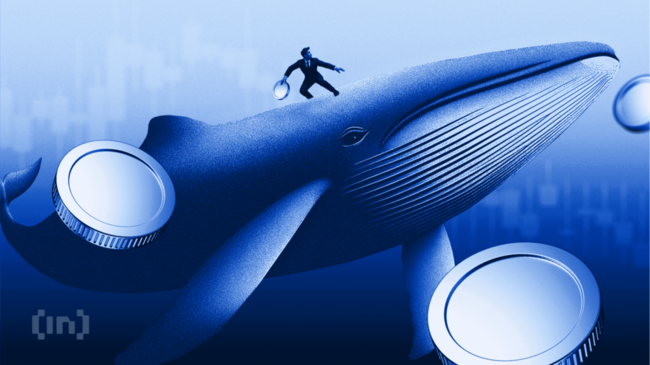 Apa yang Crypto Whale Beli untuk Potensi Keuntungan di Maret 2026