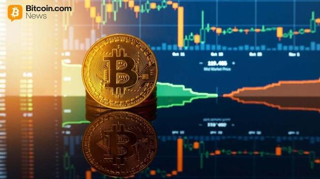 Победа «алмазных рук»: 85% держателей биткойнов продемонстрировали стойкость во время февральского падения