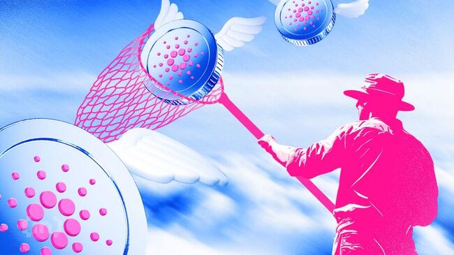 Cardano Berisiko Turun 31% karena Whale Dump 210 Juta ADA