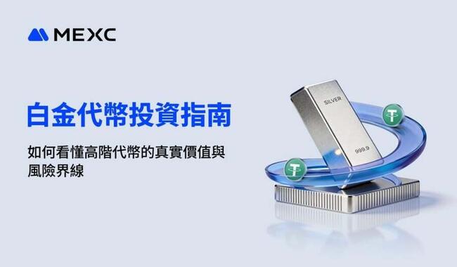 白金代幣投資指南：如何看懂高階代幣的真實價值與風險界線